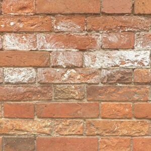 bricks red – all collections